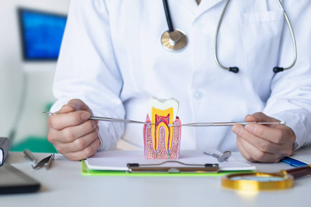 Best Emergency Dental Care for Abscessed Tooth in Avilla, AR